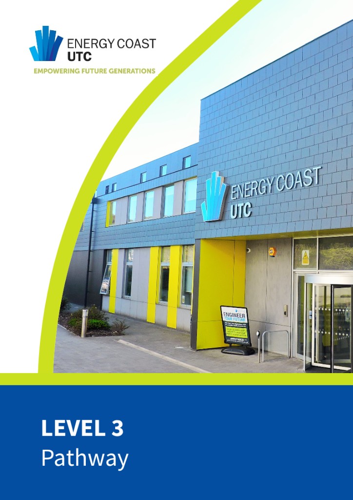 Level 3 Pathway